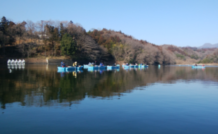 narusawa100.png